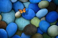 pic for Orange Butterfly On Blue Stones 480x320